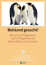 Bild vergrern: Pflegekampagne - Pinguine